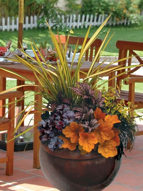 Be bold with autumn arrangements | OregonLive.com Fall Pots, Winter Container Gardening, Fall Container Gardens, Fall Containers, Container Garden Design, Container Gardening Flowers, Fall Planters, Garden Containers, 수채화 그림