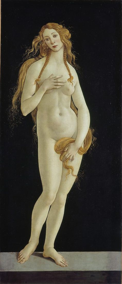 Venus, 1490s by Sandro Botticelli Gemäldegalerie Staatliche Museen zu Berlin Preußischer Kulturbesitz. Photo: Volker-H. Schneider. Tee Kunst, Giorgio Vasari, Sandro Botticelli, Italian Painters, Pierre Auguste Renoir, Art Historian, Italian Art, Classical Art, Classic Art