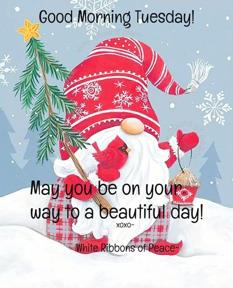 Happy Tuesday Christmas Images, Funny Good Morning Wishes, Happy Tuesday Images, Tuesday Quotes Good Morning, Tuesday Greetings, Tuesday Images, Good Morning Christmas, Good Morning Winter, Christmas Verses