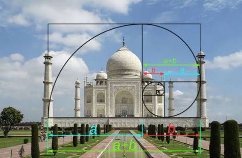 Golden Ratio Architecture, Golden Mean Ratio, Fibonacci Design, Golden Ratio In Nature, Fibonacci Spiral Art, Golden Ratio Art, Fibonacci Art, Golden Ratio In Design, Fibonacci Golden Ratio