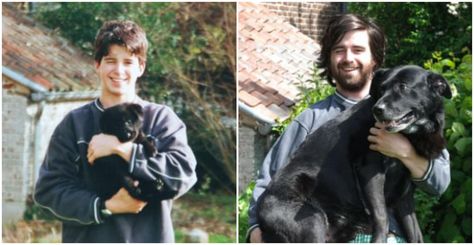 You’re Not A Puppy Anymore! Owners Recreate Pics With Their Grown Up Pups – Page 11 – giveitlove Childhood Pictures, Cool Pics, Puppy Day, Photo Recreation, Future Photos, Dog Ages, Dog Years, Funny News, Childhood Photos