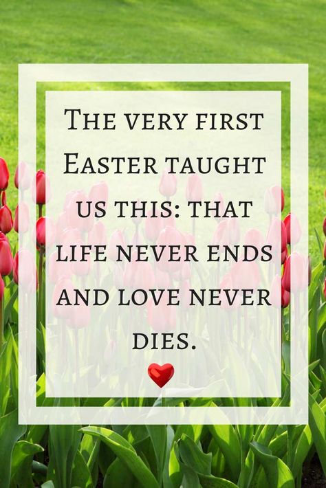 The very first Easter taught us this: that life never ends and love never dies Easter Inspirational Quotes, Happy Easter Quotes, Easter Event, Happy Easter Wishes, Easter Quotes, Front Porch Christmas Decor Ideas, Porch Christmas Decor Ideas, Porch Christmas Decor, Front Porch Christmas