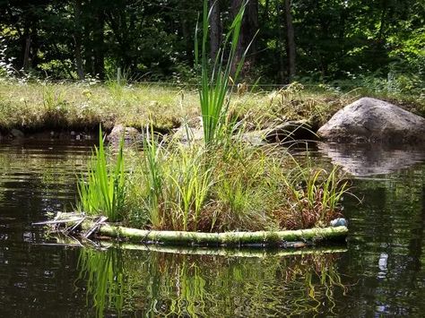 Diy Floating Island For Pond, Floating Wetland, Hydroponic Gardening Diy, Duck Island, Bushcraft Shelter, Floating Islands, Farm Pond, Pond Cleaning, Artificial Island