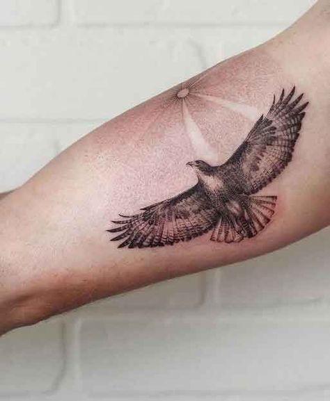 Tattoo Ideas Eagle For Women, Eagal Tattoos For Men, Eagle Sun Tattoo, Hungarian Tattoo Ideas For Men, Eagle Shoulder Tattoos For Women, Eagle And Sun Tattoo, Feminine Eagle Tattoo For Women, Hawk Tattoo Men, Falcon Tattoo Feminine