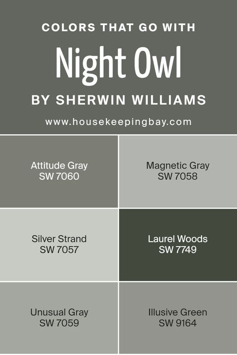 Colors that Go With Night Owl SW 7061 by Sherwin Williams