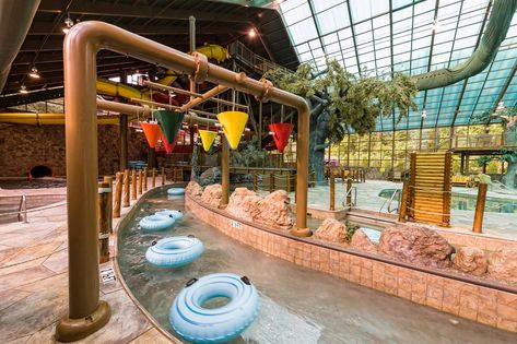 Care for a bit of lighthearted fun? Tennessee Attractions, Gatlinburg Vacation, Wild Bear, Indoor Waterpark, Gatlinburg Cabins, Tennessee Vacation, Gatlinburg Tennessee, Mountain Vacations, Smoky Mountain National Park