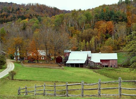 This is the Jenne Farm close up and looking northward. ~ Windsor County, VT Green Mountain, Autumn Beauty, Autumn Day, Vermont, Small Towns, New England, Tree Trunk, House Styles, Green