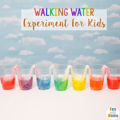 Walking Water Experiment, Primary Color Mixing, Water Experiments For Kids, Rainbow Experiment, Capillary Action, Walking Water, Water Experiments, Coloring Paper, Summer Science