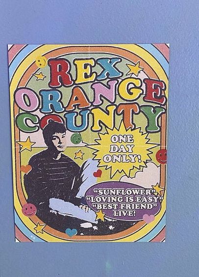 Rex Orange County Poster, Tour Flyer, Etsy Poster, Rex Orange County, Rex Orange, Inspired Aesthetic, Aesthetic Poster, Vintage Poster, Custom Artwork