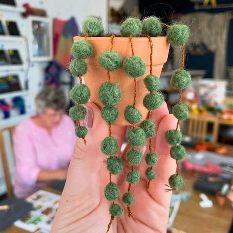 We’re so looking forward to our Felted Succulent workshop coming up this Friday 3rd May with Bethan of @joyhousecreations 🌵 Come and join us for a lovely gentle evening of wool stabbing, where you can stab away all your worries 😂 while making a gorgeous mini plant! You can book your spot on the website booking page & go to 'needle felting' ✨ #needlefelting #felt #feltsucculent #succulent #feltplant #feltworkshop Needle Felted Succulents, Succulent Workshop, Felt Succulents, Mini Plants, Looking Forward, Needle Felting, Felt, Wool, Canning