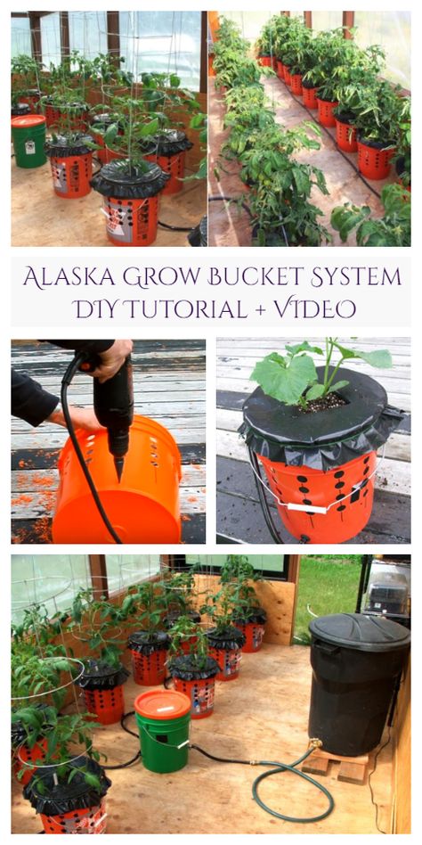 Container Gardening Tip DIY Alaska Grow Bucket System Tutorial Bucket Garden, Diy Container Gardening, Bucket Gardening, Vegetable Garden Raised Beds, Vegetable Garden Diy, Garden Vegetable, Backyard Vegetable Gardens, Recycled Garden, Starting A Garden