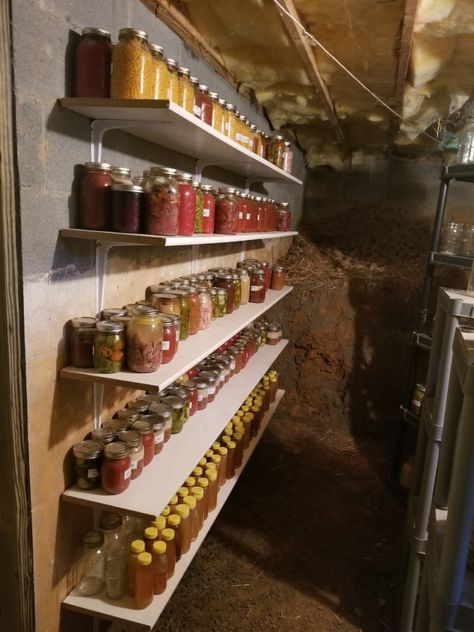 Increase Storage Space by Turning Your Unused Crawlspace into a Root Cellar Storm Cellar Interior, Crawl Space Wine Cellar, Crawl Space Ideas Storage, Root Cellar In Crawl Space, Crawl Space Root Cellar, Crawl Space Storage Ideas, Crawl Space Organization, Crawlspace Ideas, Crawl Space Ideas