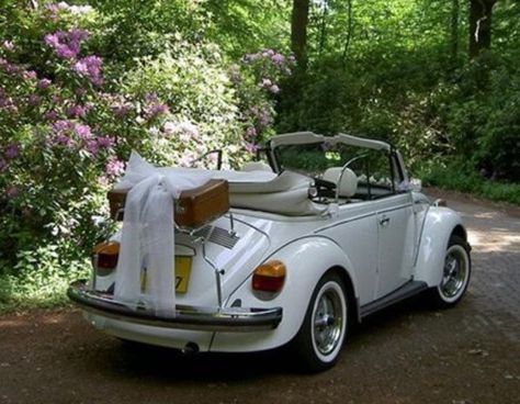 Vintage Vw beetle convertible wedding car Prom Cars Ideas, Prom Transport, Vintage Cars Wedding, Prom Car, Cars Wedding, Blue Car Accessories, Matric Farewell, Family Car Decals, Wedding Transport