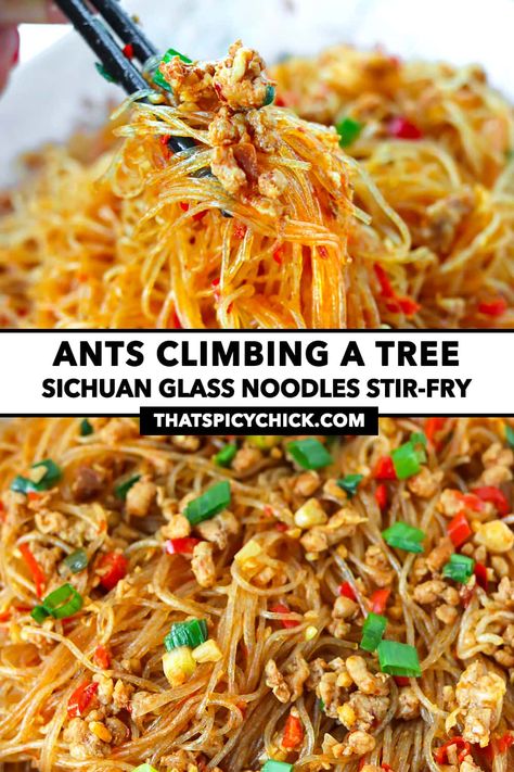 Ants Climbing A Tree, Sichuan Recipes, Glass Noodles Recipe, Climbing A Tree, Vermicelli Recipes, Asian Noodle Recipes, Pork Stir Fry, Glass Noodles, Mung Bean