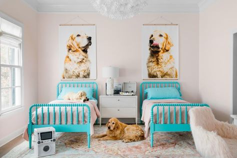 20 Ideas for Kids' Bedroom Themes | HGTV Teen Bedroom Colors, Kids Bedroom Themes, Beauceron Dog, London Room, Dog Bedroom, Puppy Room, Themed Kids Room, Dog Room, Floral Chandelier