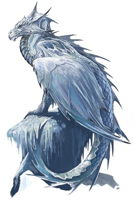 blue ice dragon Dragon Medieval, Ice Dragon, Cool Dragons, Fairy Dragon, Mythical Beast, Dragon Rider, Dragon Pictures, White Dragon, Dragon Artwork