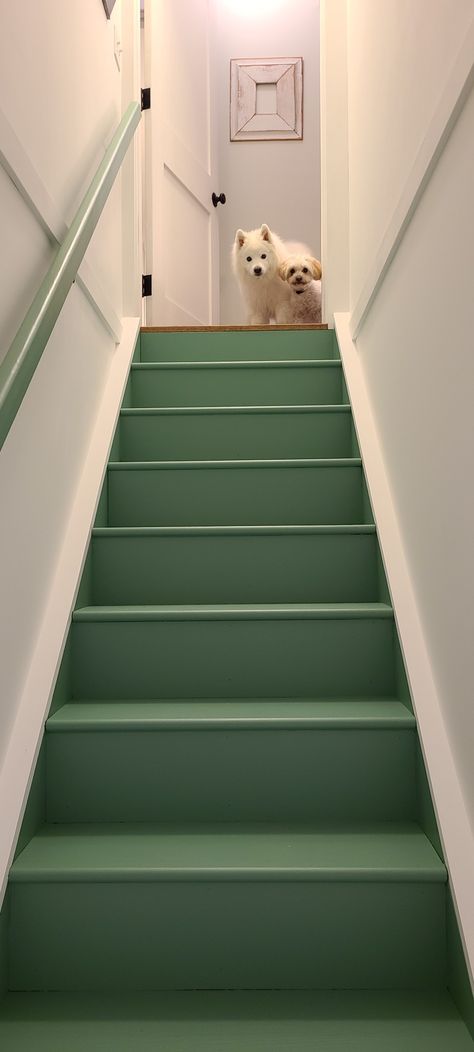 Cool Staircase Ideas, Dark Green Stairs, Paint Colors For Stairs, Teal Stairs, Terracotta Stairs, Green Painted Stairs, Orange Stairs, Color Stairs, Green Staircase