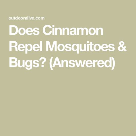 Does Cinnamon Repel Mosquitoes & Bugs? (Answered) Cinnamon Mosquito Repellent, Cinnamon Bug Spray, Cinnamon Bug Repellent, Homemade Mosquito Spray, Mosquito Repellent For Babies, Repellent Diy, Diy Bug Repellent, Mosquito Repellent Homemade, Cinnamon Water