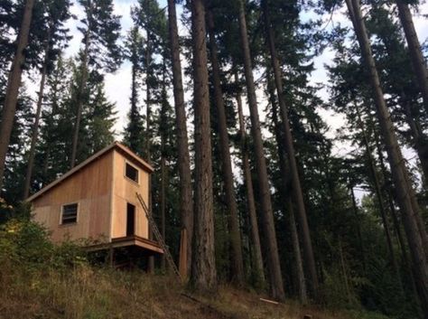 200 SF Cabin Built in 6 Days for $6K ~ 2 Links: http://friendsbuild200sqfttinycabinin6days.wikidee.org/friends-build-200-sq-ft-tiny-cabin-in-6-days-for-6k.html Shed Roof Cabin, Cozy Loft, Building A Cabin, House Loft, Off Grid Cabin, Tiny Cabins, Tiny Cabin, Tiny House Movement, Tiny World