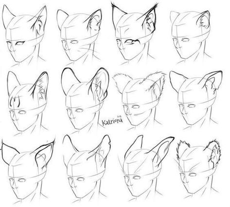 How To Draw Wolf Ears, Concept Art Drawing, Poses References, Manga Artist, Art Poses, Drawing Tutorials, Animal Ears, Drawing Base, Drawing Poses