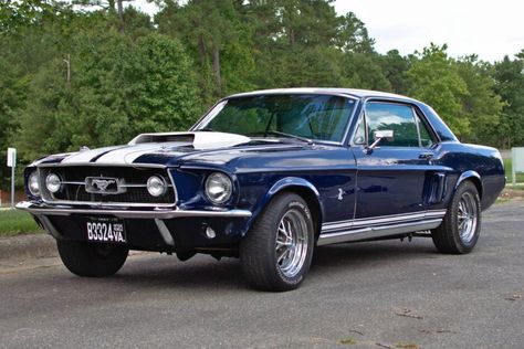 For Sale: 1967 Ford Mustang Coupe (dark blue, modified, 427ci V8, 4-speed auto) 1967 Ford Mustang Coupe, Classic Ford Cars, Mustang Cars 1967, Blue Ford Mustang, 1967 Mustang Coupe, Mustang Blue, Classic Ford Mustang, Mustang 67, 67 Ford Mustang