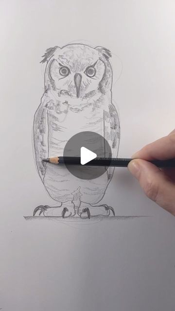 Owl Beak Drawing, How To Draw An Owl Step By Step, How To Draw An Owl, Owl Drawing Easy, Drawing An Owl, Owl Pencil Drawing, Cute Owl Illustration, Owl Drawing Simple, Draw An Owl