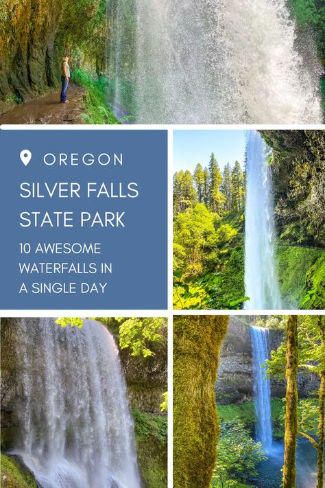 It isn't often that a single hike will cross the path of 10 waterfalls, but the Silver Creek Falls trail in Oregon does just that. This 7.2 mile trail is Oregon hiking at its finest, leading in, around and behind some of Oregon's most stunning falls. Here is what you need to know to hike it in a single day. via @www.pinterest.com/secondstogo0224 Silver Creek Falls Oregon, Trail Of 10 Falls Oregon, Tunnel Falls Oregon Hike, Tunnel Falls Oregon, Oregon Hiking, Silver Falls State Park, Oregon Hikes, Oregon Waterfalls, Silver Falls