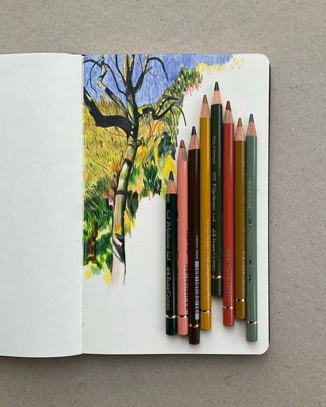 Color Pencil Illustration, Faber Castell Polychromos, Fauvism, Arte Inspo, Sketchbook Inspiration, Color Pencil Art, Pencil Illustration, Art Journal Inspiration, Art Block