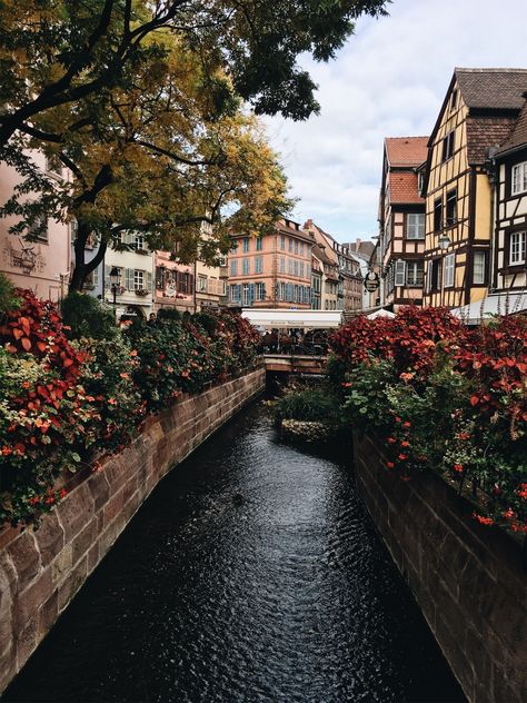 France Aesthetic, Best Vacation Destinations, Europe Photography, Alsace France, Colmar, Cumbria, Andalusia, Travel Goals, Leiden