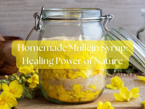 Mullein Cough Syrup Recipe, Mullein Magical Properties, Mullein Tea Recipe, Mullein Recipes, Mullen Plant, Mullein Plant, Witch's Apothecary, Herbal Gifts, Cough Syrup Recipe