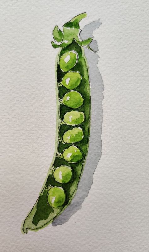 Vegetable Painting Watercolour, Watercolour Fruits And Vegetables, Watercolor Vegetables Simple, Vegetable Watercolor Paintings, Vegetable Painting Ideas, Veggie Watercolor, Watercolour Art Ideas Creative, Food Painting Watercolor, Veggie Drawings