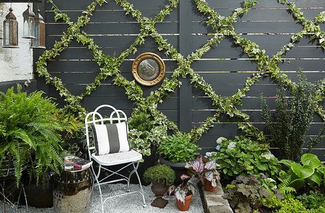 6 Decorating Ideas to Make the Most of a Small Outdoor Space Vine Trellis, Yard Ideas Backyard, Diy Garden Trellis, Diy Trellis, Garden Vines, Decor Ikea, Walled Garden, Trellis Plants, Diy Yard