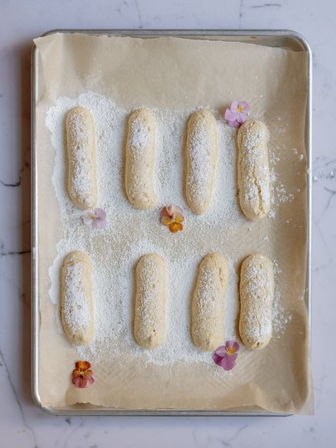 Homemade Lady Fingers + Sourdough Option - Coco et sel Lady Fingers Recipe, Electric Hand Mixer, Sourdough Discard, Lady Fingers, Cooling Rack, Piping Tips, Baking Sheets, Baking Sheet, Vanilla Extract