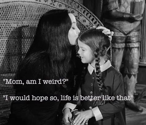 Addams Family Quotes, Gomez And Morticia, Addams Family Wednesday, Carolyn Jones, Morticia Addams, Camera Photos, Adams Family, Stay Weird, The Addams Family