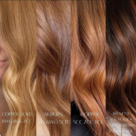 Redken Shades Eq Formulas Copper Blonde, Redken Shades Eq Formulas Blondes Honey, Shades Eq Toner Formulas Strawberry Blonde, Copper Gold Shades Eq Formula, Redken Golden Copper Formula, Auburn Toner Formula, Copper Gloss On Blonde, Redken Golden Brown Formula, Goldwell Topchic Color Formulas