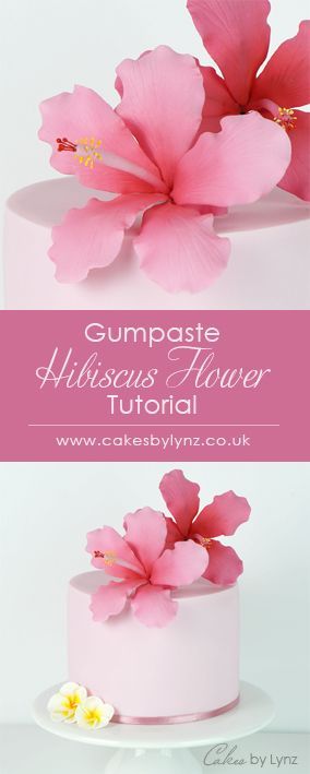 Gumpaste Hibiscus Flower video Tutorial www.cakesbylynz.co.uk Hibiscus Flower Tutorial, Hibiscus Cake, Gum Paste Flowers Tutorials, Cupcakes Fondant, Sugar Paste Flowers, Sugar Flowers Tutorial, Fondant Flower Tutorial, Royal Icing Flowers, Icing Flowers