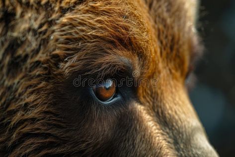 Mysterious Bear eye closeup. Generate Ai royalty free stock photo Eye Closeup, Bear Eyes, Forest Animal, Forest Animals, Close Up, Bears, Royalty Free Stock Photos, Royalty, Royalty Free