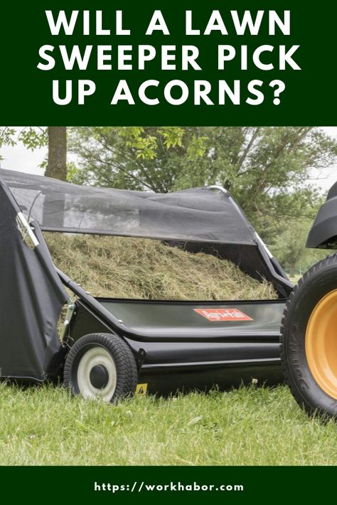 Many people wonder Will A Lawn Sweeper Pick Up Acorns? The answer is yes. Read on to know how to use the lawn sweeper among many other things. Lawn Hacks, Lawn Sweepers, Lawn Sweeper, Gardening Shoes, Best Garden Tools, Regenerative Agriculture, Outdoor Survival Gear, Lawn Mowing, Gardening Projects