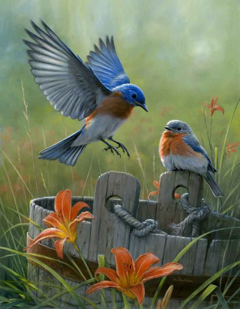 Eastern Bluebird, New York State Bird | Hi-Look Online Pictures Of Birds, Cabin Art, Banana Plants, Bird Photos, 수채화 그림, Haiwan Peliharaan, Bird Pictures, Exotic Birds, Bird Drawings