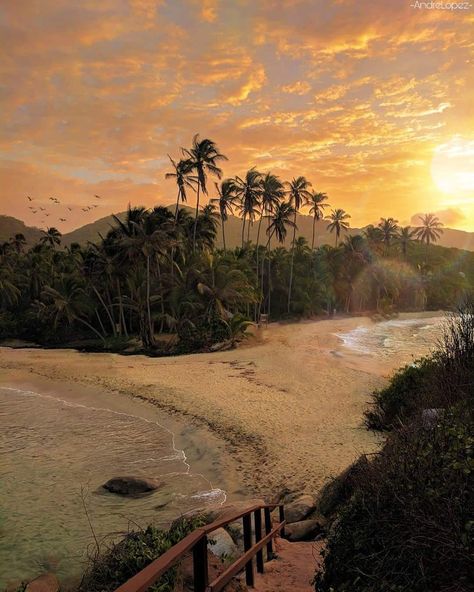 Colombia Photography, Tayrona National Park, Miss Colombia, Vacation Photography, Colombia Travel, Santa Marta, Summer Time Pictures, Travel Places, Sierra Nevada