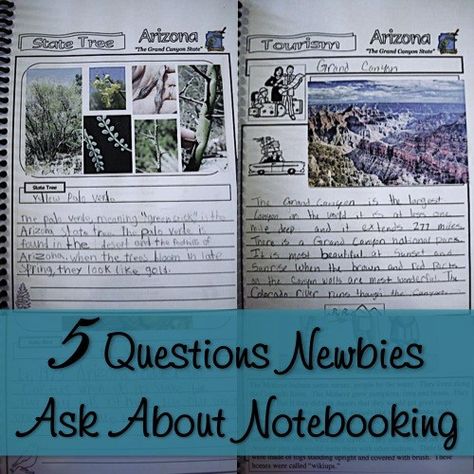 For those of you who are new to homeschooling and looking into different methods to use in your homeschool, you may be considering notebooking. If so, I wanted to put together a post of questions… Homeschool Notebooking Examples, Homeschool Methods, Homeschool Notebooking, Reading Notebooks, Essay Samples, Homeschooling Curriculum, History Journal, Notebook Diy, Nature Journaling