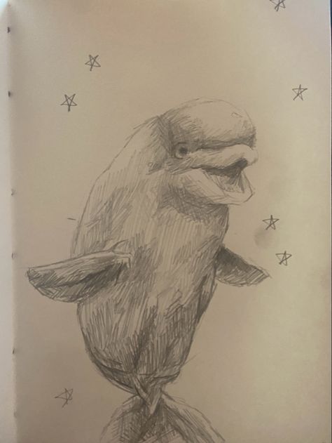 Beluga Drawing, Whale Shark Sketch, Beluga Whale Drawing, Sea Creature Drawing, Aquarium Drawing, Paper Restaurant, Whale Sketch, Sea Creatures Drawing, Aesthetic Sketch