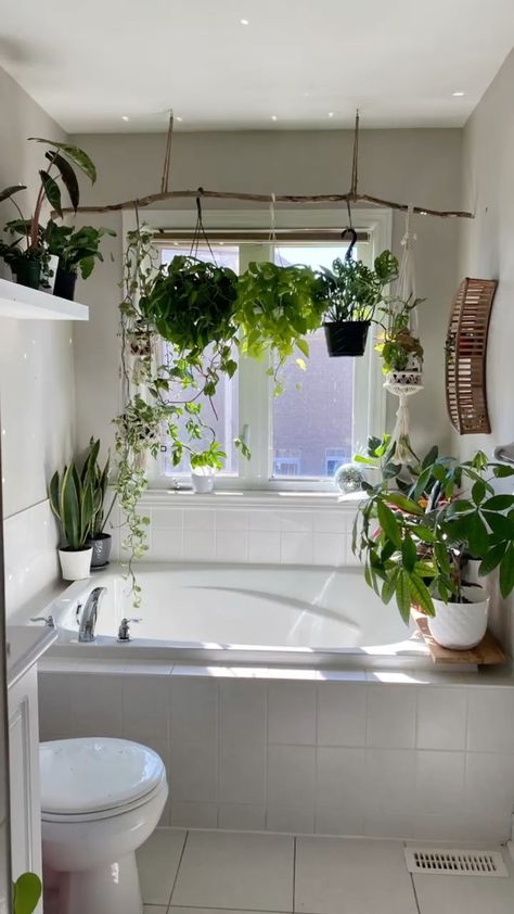 I get asked a lot about this hanging system over my bathtub 🛀. I actually found the stick at a park, washed it and hubby hung it with jute … | Instagram Hanging Plants Above Bathtub, Bathroom Window In Shower Ideas, Plants Over Bathtub, Bathroom Window Plants, Bathtub With Plants, Bathroom Hanging Plants, Window Bathtub, Jungle Interior Design, House Indoor Plants