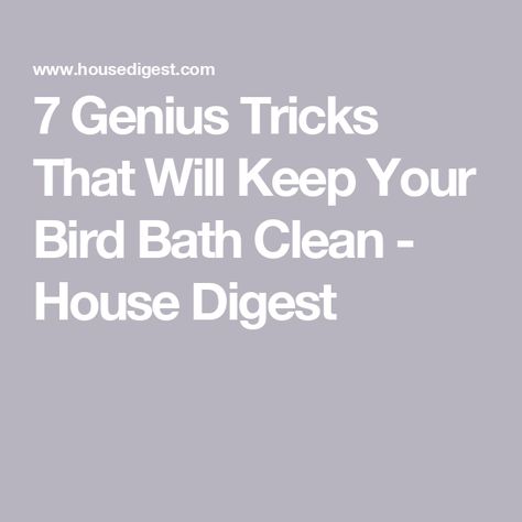 7 Genius Tricks That Will Keep Your Bird Bath Clean - House Digest Cleaning A Bird Bath, Bath Cleaning, Bath Water, Moving Water, Throw In The Towel, Splash Pad, What To Use, Scrub Brush, Exclusive Home