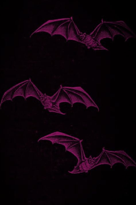 Pink Bat Aesthetic, Gothic Pink Wallpaper, Draculaura Aesthetic Wallpaper, Drolta Tzuentes, Plum Aesthetic, Pink And Black Goth, Goth Aesthetic Wallpaper, Frickin Bats, Draculaura Aesthetic