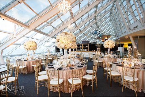 Adler Planetarium - Chicago, Illinois #2 Adler Planetarium Chicago, Planetarium Wedding, Wedding Budget Breakdown, Adler Planetarium, Black Gold Wedding, Michigan Wedding Venues, Chicago Wedding Venues, Wedding Sparklers, Rooftop Wedding