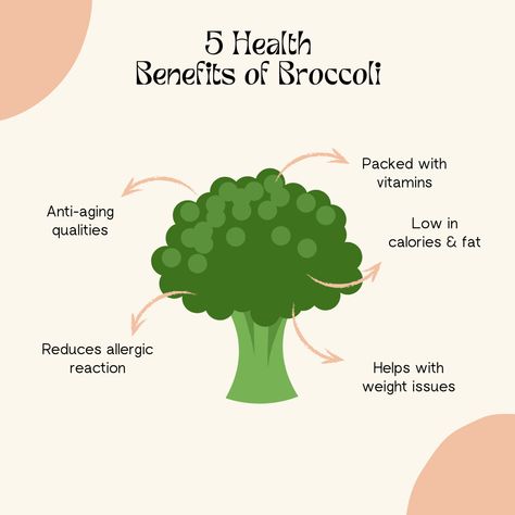 - Nutrient-Packed
- Heart Health
- Bone Strength
- Digestive Aid
- Versatile & Delicious

So, next time you’re at the grocery store, don’t forget to grab some broccoli! Your body will thank you. Brocolli Benefits Nutrition, Broccoli Meals, Health Benefits Of Broccoli, Broccoli Health Benefits, Broccoli Benefits, Green Herbs, Healthy Hacks, Balanced Diet Plan, Holistic Health Remedies