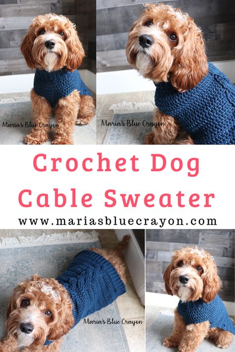 Learn how to make this crochet dog sweater with a cable detail down the back. This tutorial allows you to make any size for a custom fit. Full video tutorial on Maria's Blue Crayon blog. #dog #sweater #crochet #pattern #tutorial #video Crochet Dog Sweater Free Pattern, Knitted Dog Sweater Pattern, Crochet Dog Clothes, Dog Sweater Crochet Pattern, Sweater Tutorial, Blue Crayon, Dog Sweater Pattern, Short Dog, Long Dog