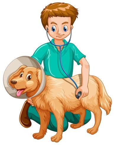 Vet Clipart, Veterinary Surgery, Pet Vet, Dog Vector, 3d Cartoon, Free Dogs, Animal Clipart, Animals Images, Beautiful Nature Scenes