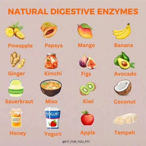 Natural digestive enzymes from fruits, veggies & Herbs ease digestion and promote nutrient absorption! Drop a ❤️ if this helps! If you want more information like this type ‘Yes’ . @healthteips Tag someone!!🎯😍♥️⠀ Bromelain Foods, Mouth Health, Honey Yogurt, Natural Probiotics, Coconut Yogurt, Digestive Enzymes, Healthy Juices, Tempeh, Fermented Foods